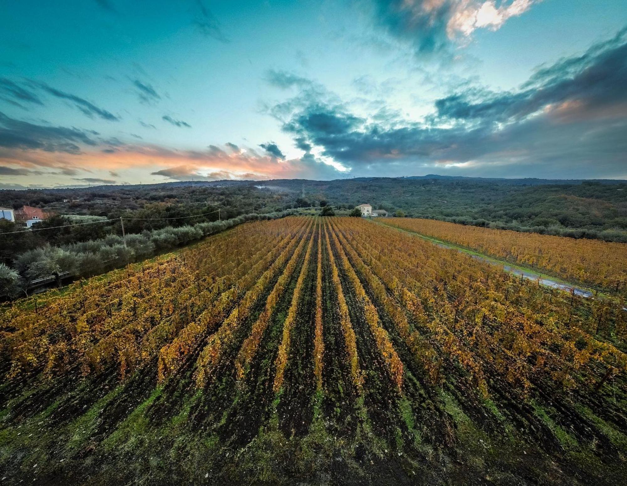 Alojamento de Turismo Rural Casa Arrigo