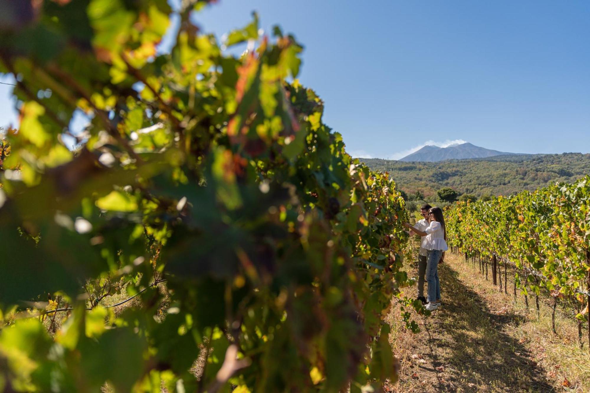Farm stay Casa Arrigo